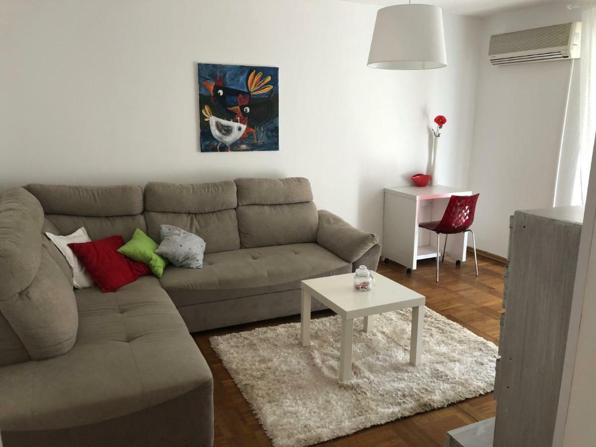 Apartment Safran Novigrad  Exterior photo